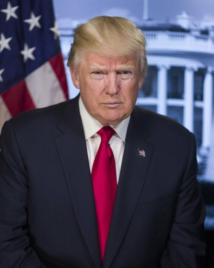 Official Portrait, President Donald J. Trump. (White House photo)  White House bio: https://www.whitehouse.gov/administration/president-trump