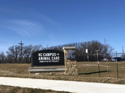 It’s Fur Real-There’s a new animal shelter in KC