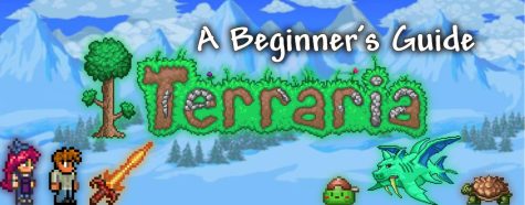 Terraria is a sandbox game developed by Re-Logic and released in 2011. Image by Ethan Hobbs