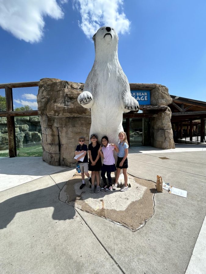 Maya Natanova’s group enjoyed the polar bears most of all. Image by Gabrielle Sosland.